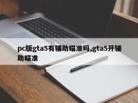 pc版gta5有辅助瞄准吗,gta5开辅助瞄准