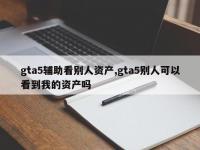 gta5辅助看别人资产,gta5别人可以看到我的资产吗