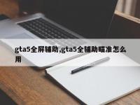 gta5全屏辅助,gta5全辅助瞄准怎么用