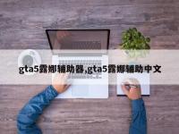 gta5露娜辅助器,gta5露娜辅助中文