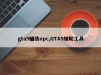 gta5辅助npc,GTA5辅助工具