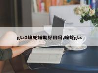 gta5蝰蛇辅助好用吗,蝰蛇gts