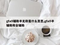 gta5辅助半无敌是什么意思,gta5半辅助和全辅助