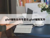 gta5辅助软件不显示,gta5辅助文件